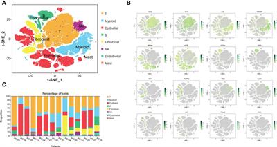 Mapping the tumor microenvironment in bladder cancer and exploring the prognostic genes by single-cell RNA sequencing